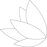 Webside Software
